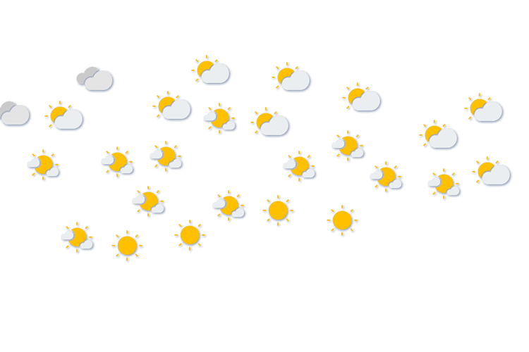 Forecast