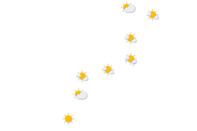 Forecast