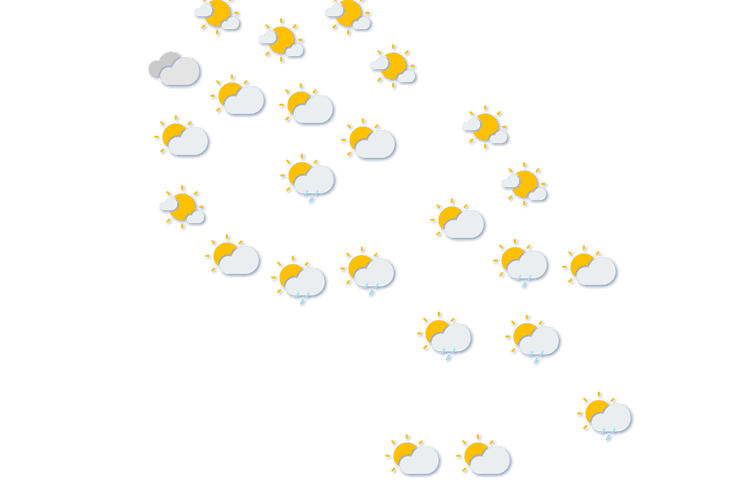 Forecast