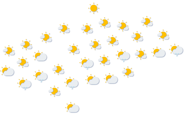 Forecast