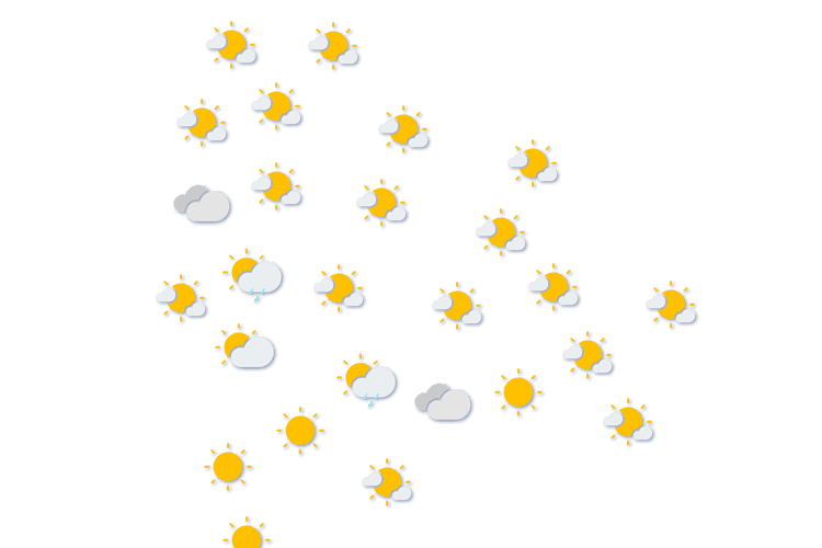Forecast