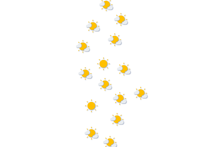 Forecast