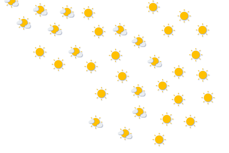Forecast