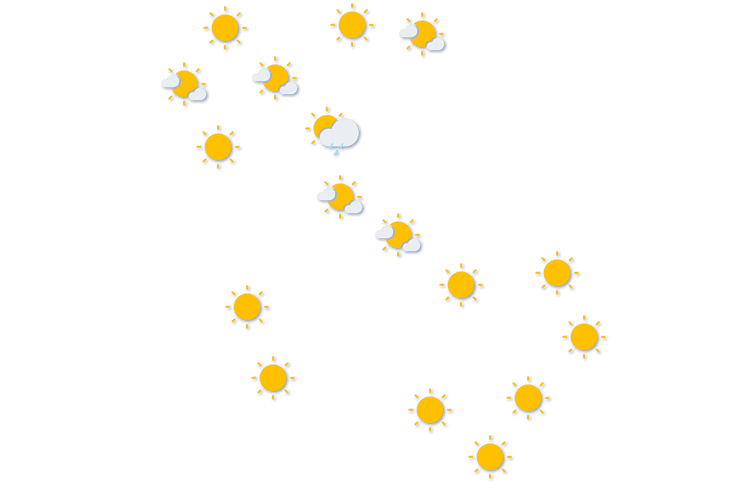 Forecast