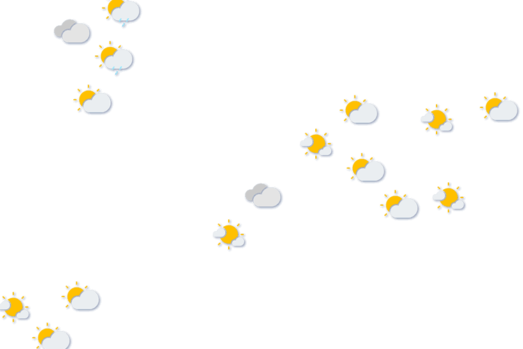 Forecast