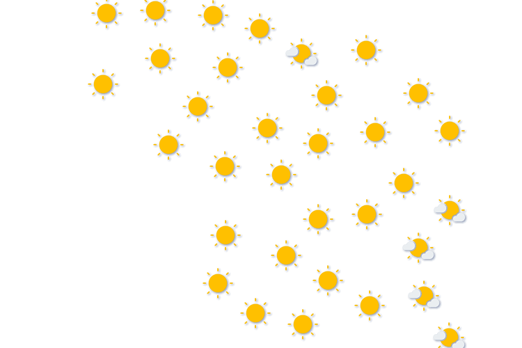Forecast
