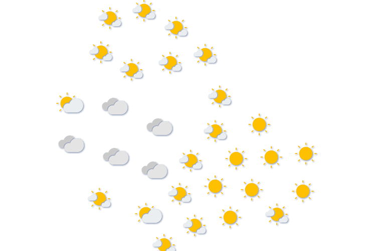 Forecast