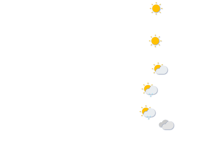 Forecast