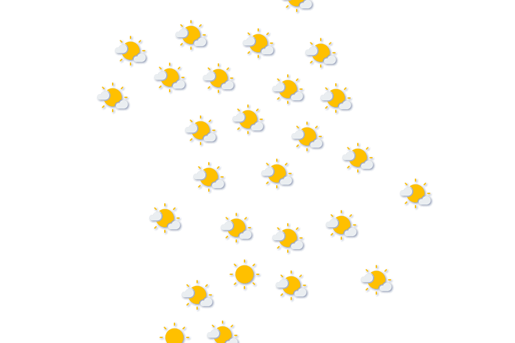 Forecast