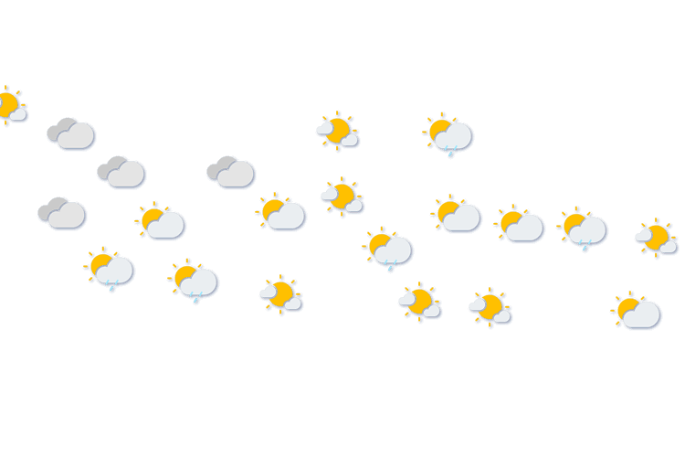 Forecast
