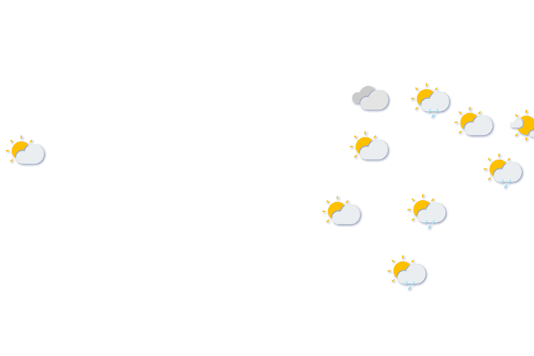 Forecast