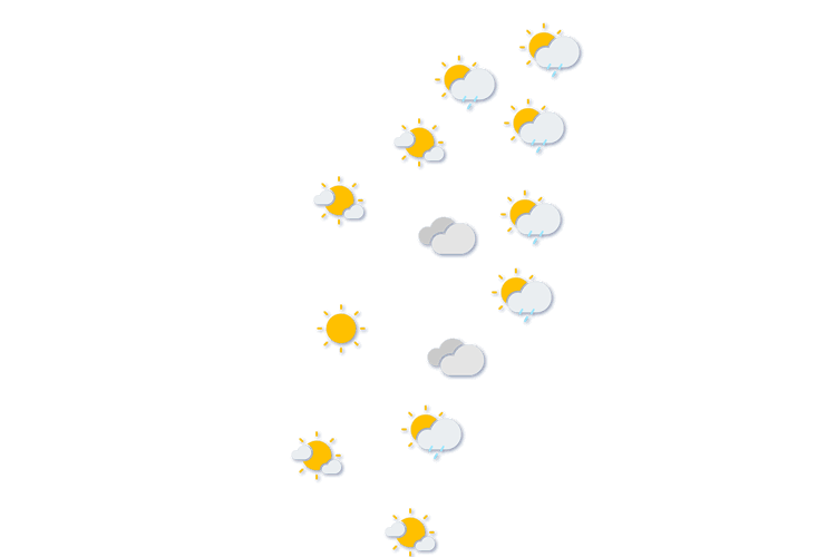 Forecast