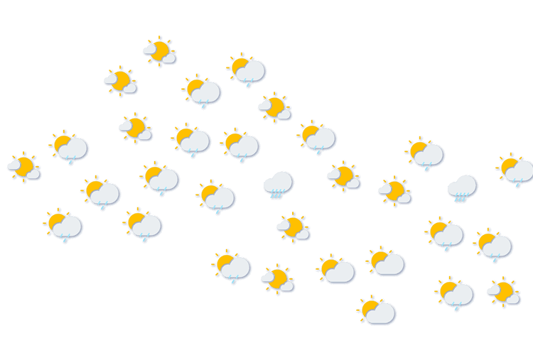 Forecast