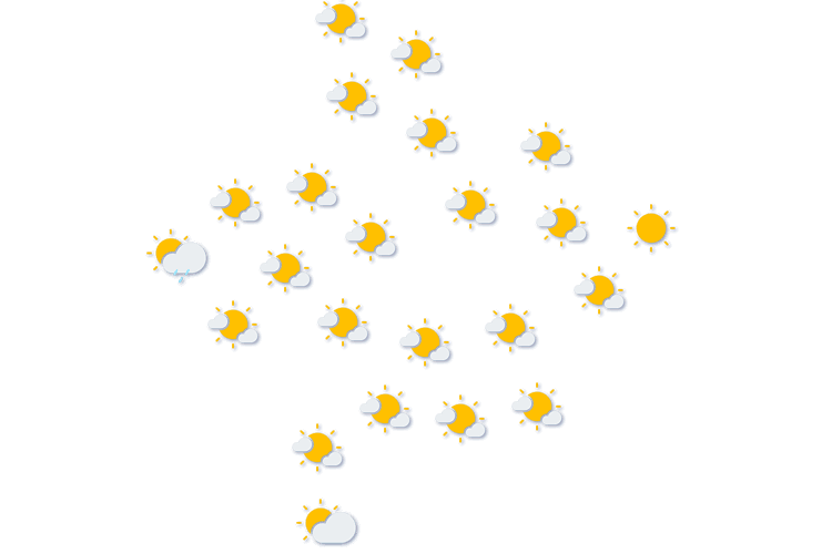Forecast