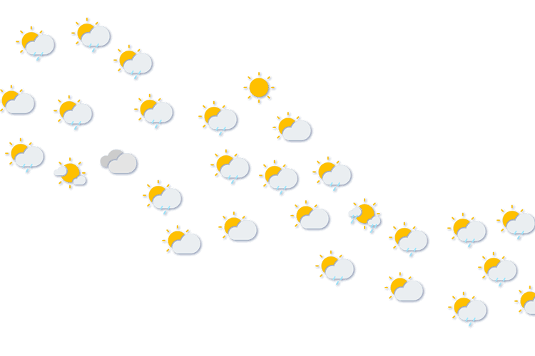 Forecast