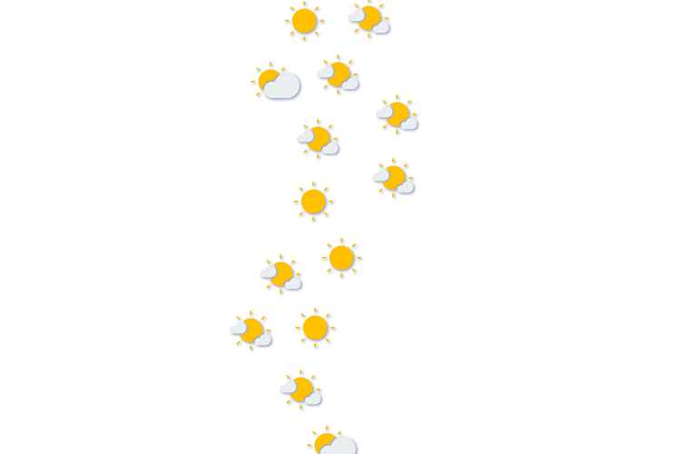 Forecast