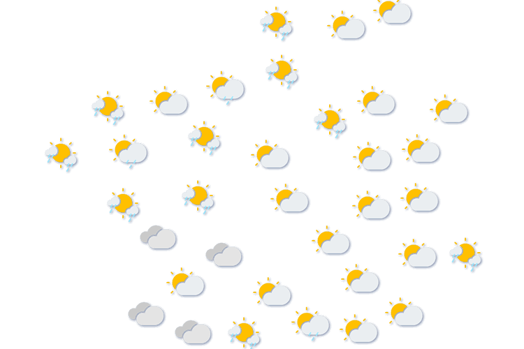 Forecast