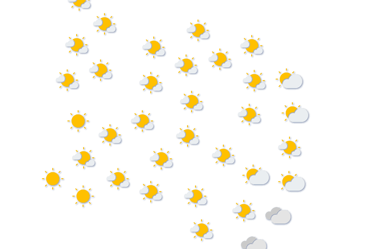 Forecast