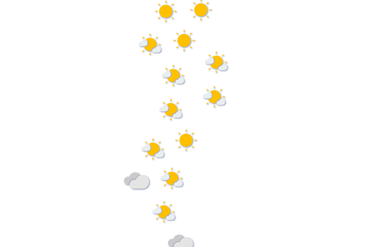 Forecast