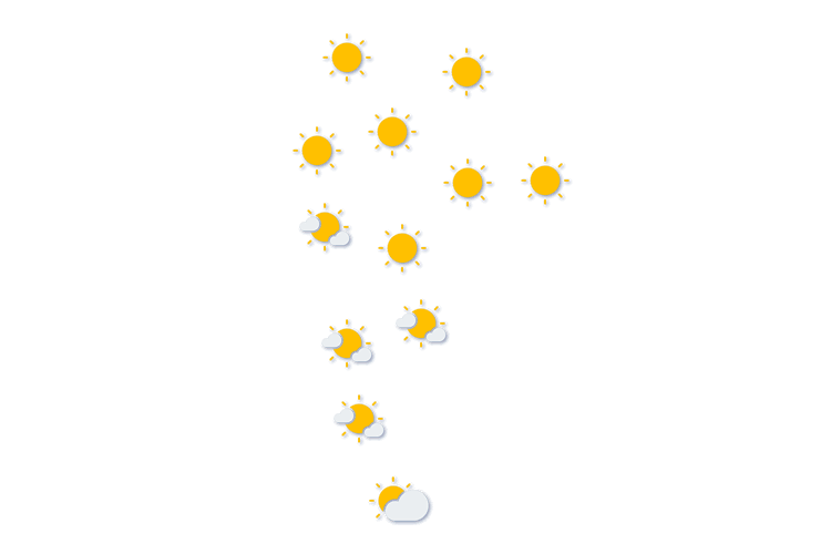 Forecast