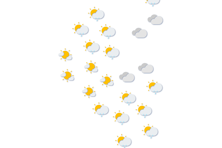 Forecast