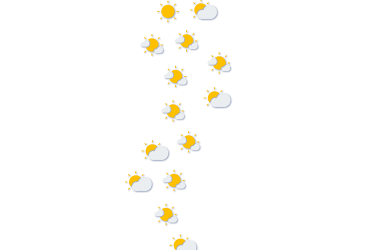 Forecast