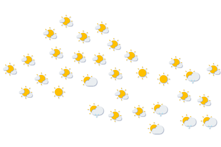 Forecast