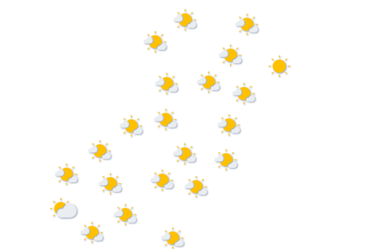Forecast