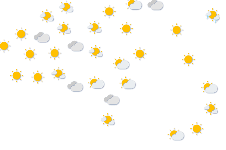 Forecast