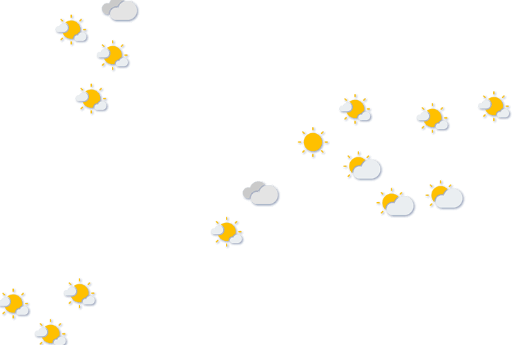 Forecast