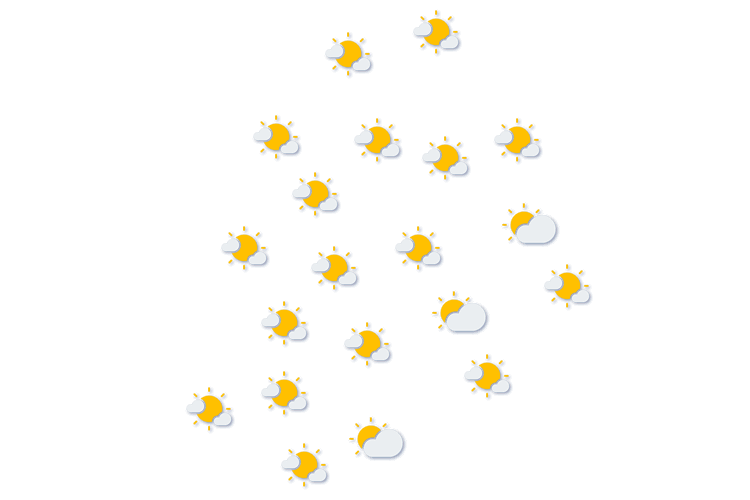 Forecast