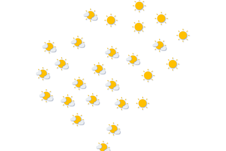 Forecast