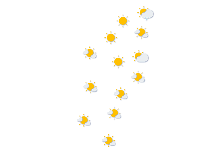 Forecast