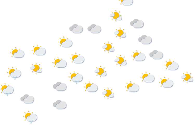 Forecast