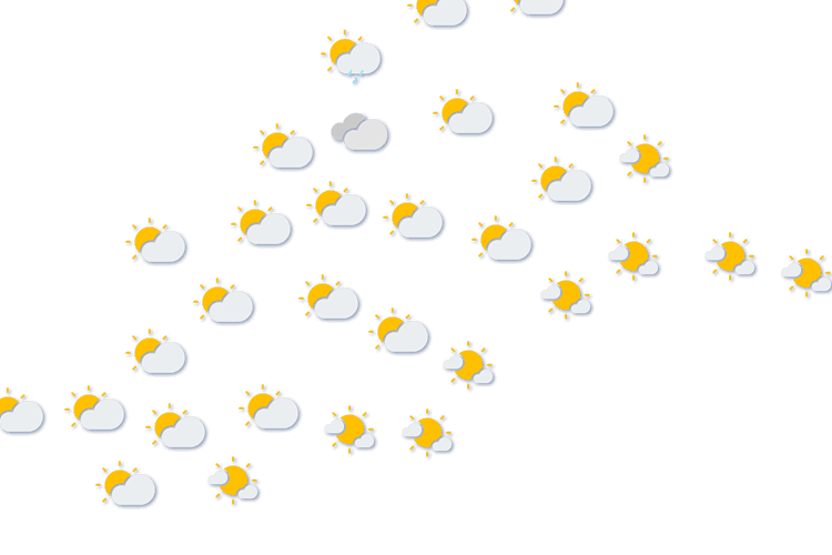 Forecast