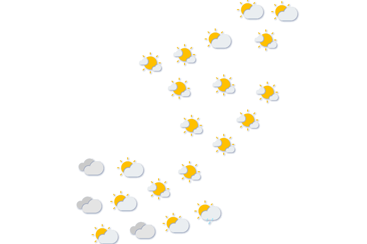 Forecast