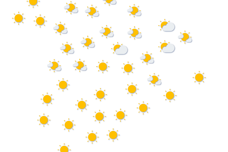 Forecast