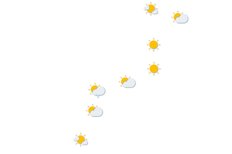Forecast