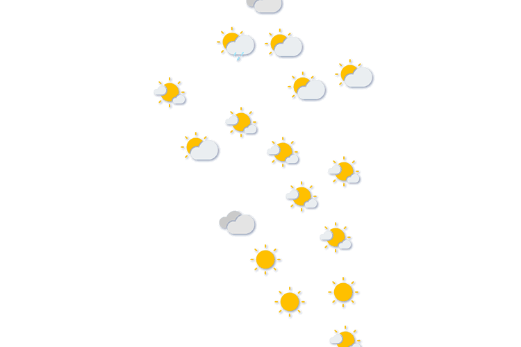 Forecast