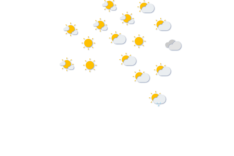 Forecast