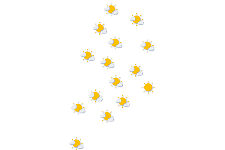 Forecast