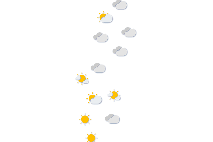 Forecast