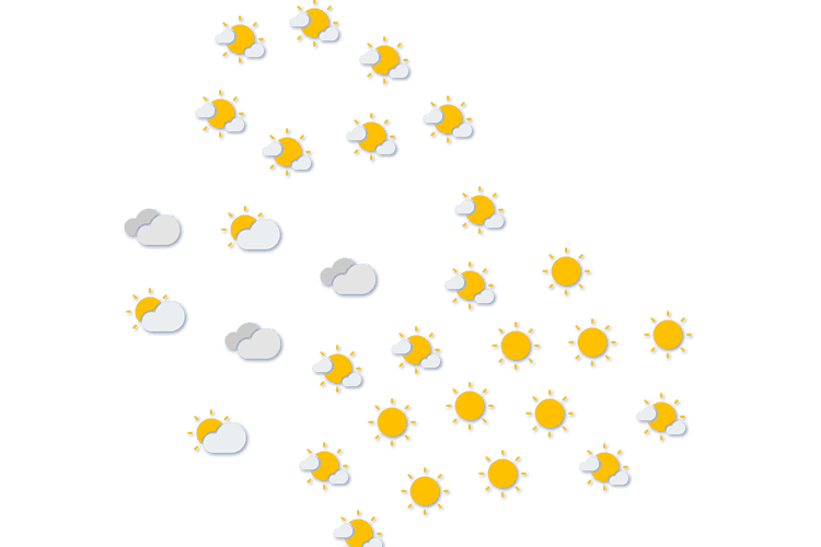 Forecast