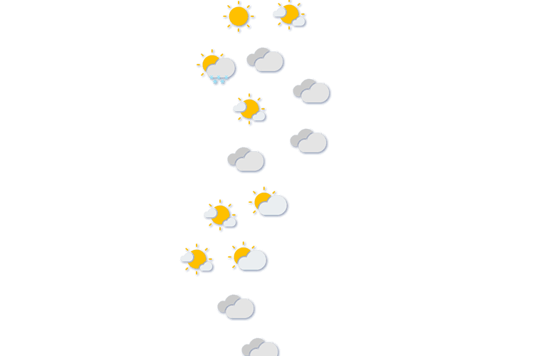 Forecast