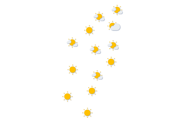 Forecast