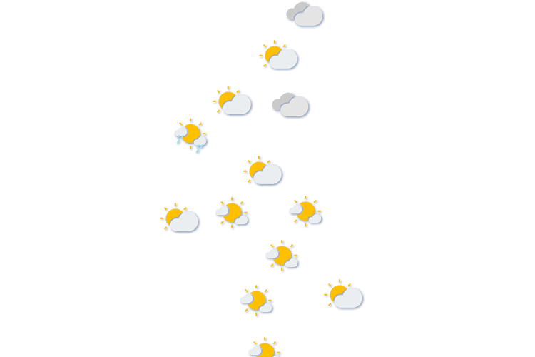 Forecast
