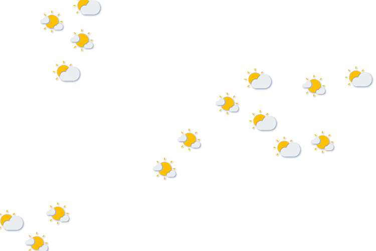 Forecast