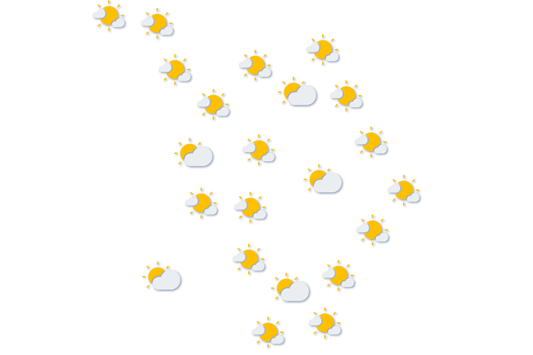 Forecast