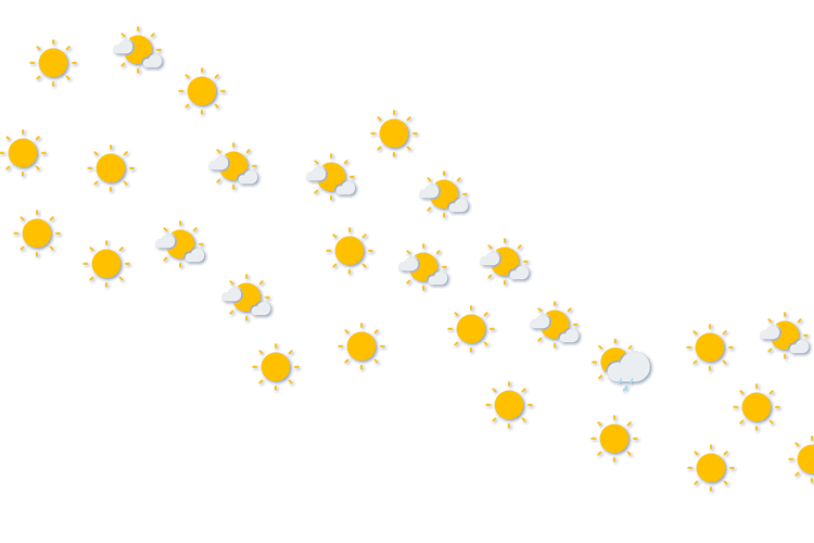 Forecast