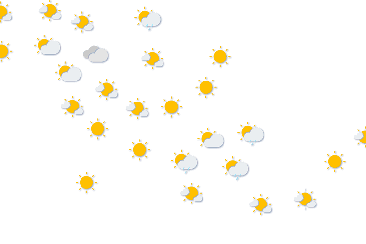 Forecast